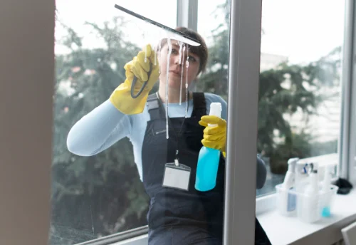 Nettoyage de vitres intérieures et extérieures à la Frénaye